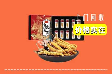 哈尔滨南岗区回收冬虫夏草